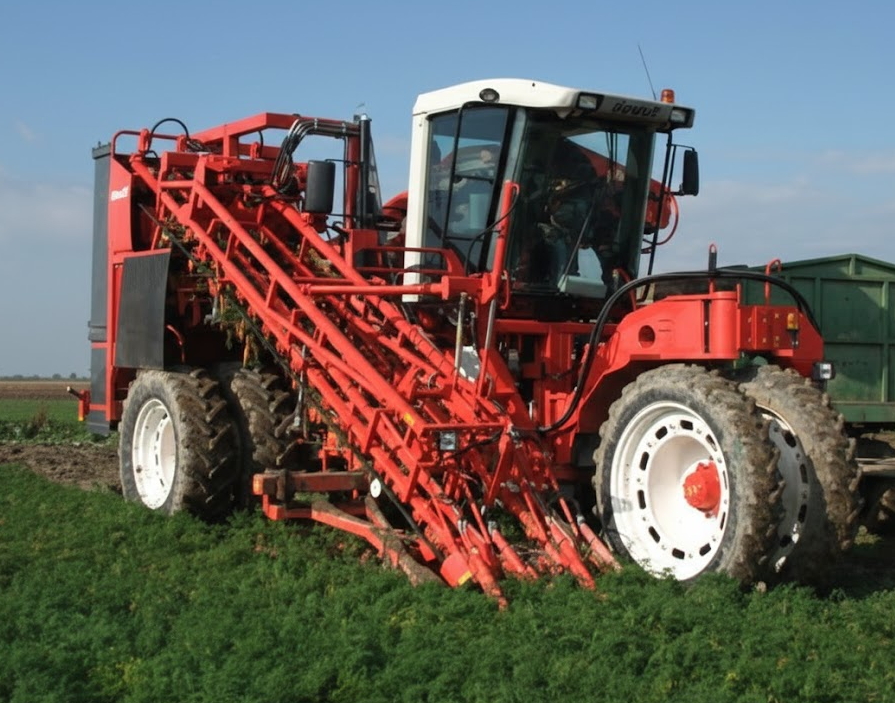 קומביין גזר עצמאי